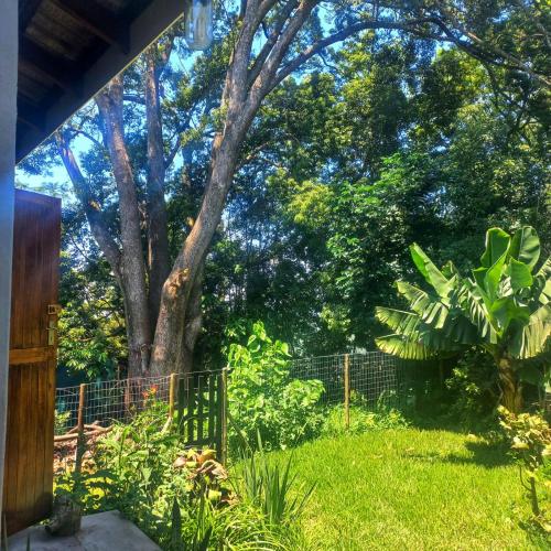 a garden with a fence and a tree at Highview Lodge in Gillitts