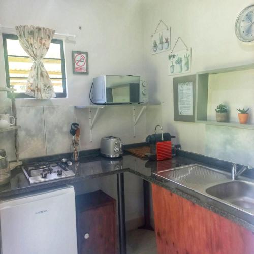 a kitchen with a sink and a microwave at Highview Lodge in Gillitts