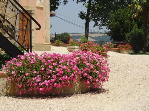 a bunch of pink flowers in front of a building at Gite La Saubolle à Marciac in Marciac