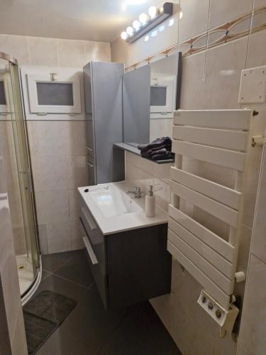 une salle de bain avec un lavabo et un miroir dans l'établissement Appartement 4 pièces - gare Nice riquier, à Nice
