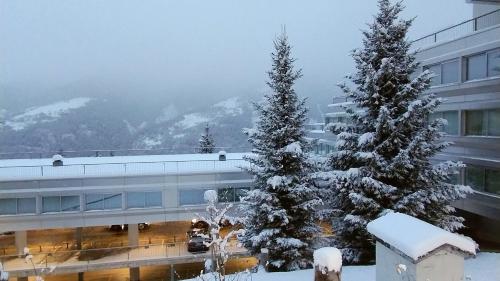 two christmas trees in front of a building with snow at Ale 1206, Marilleva 1400 accesso diretto alle piste in Marilleva