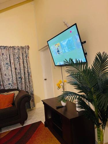 a living room with a flat screen tv and a plant at Castle Berry Apartments in Kingstown