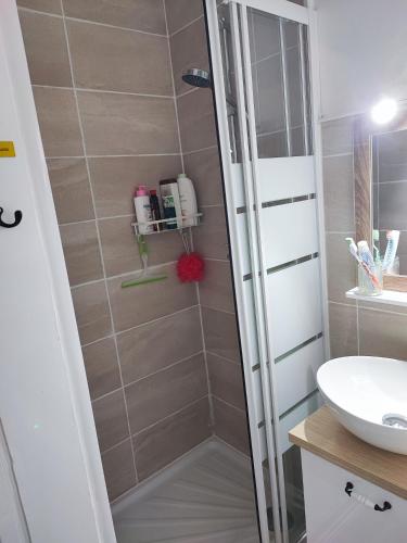 une salle de bain avec douche et lavabo dans l'établissement Cocon paisible en centre ville, à Luchon