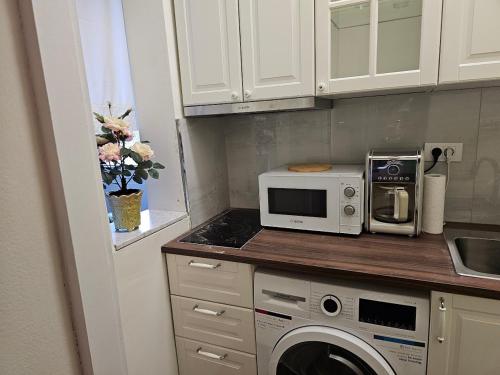 ベオグラードにあるVANSVEL Boutique Apartment 12のキッチン(電子レンジ、洗濯機付)