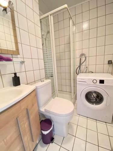 La salle de bains est pourvue de toilettes et d'un lave-linge. dans l'établissement Studio Opale proche Bâle, gare et aéroport, à Saint-Louis