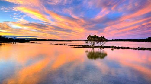 a tree on an island in the water at sunset at Hidden Gem in Urunga