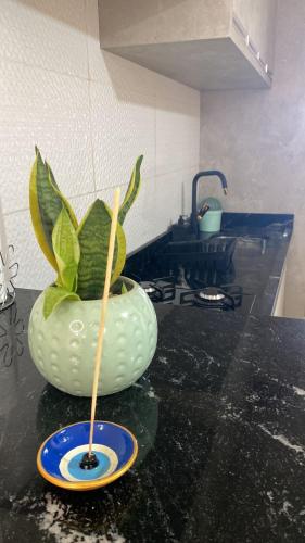 a plant in a vase on a counter in a kitchen at Casa perto do mar in Capão da Canoa