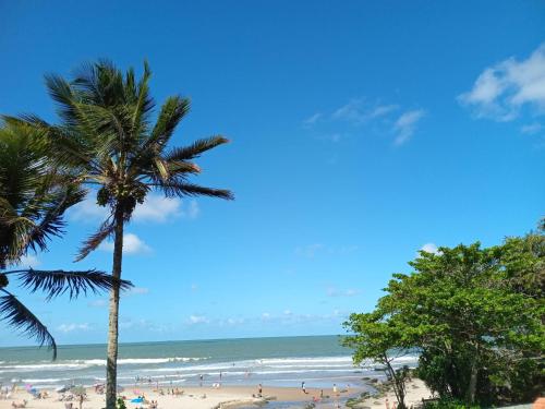 people on a beach with a palm tree and the ocean at Vila Penelope Guest House in Balneário Camboriú
