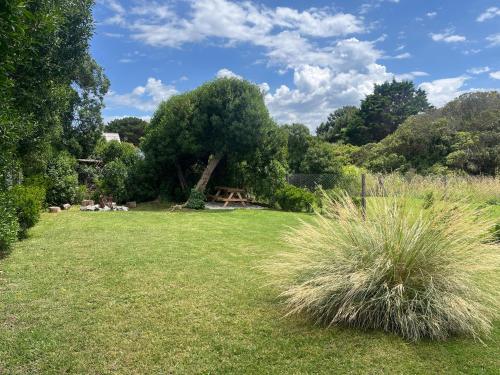 a large grassy field with a tree in the background at Casa en chapa vista al mar Zona Cruz del Sur - Altamar - Hola Sur in Chapadmalal