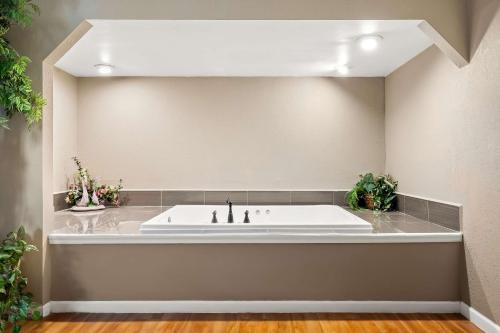a large white bath tub in a bathroom with plants at Signature Inn Danville in Danville