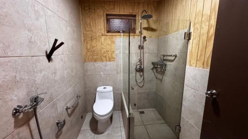 ein Badezimmer mit Dusche und Toilette in der Unterkunft Hotel Conguillío in Melipeuco