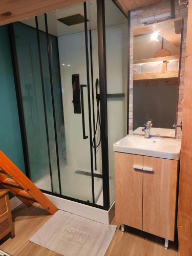 une salle de bain avec un lavabo et une douche en verre dans l'établissement Joli appartement à Mont-Louis, à Mont-Louis