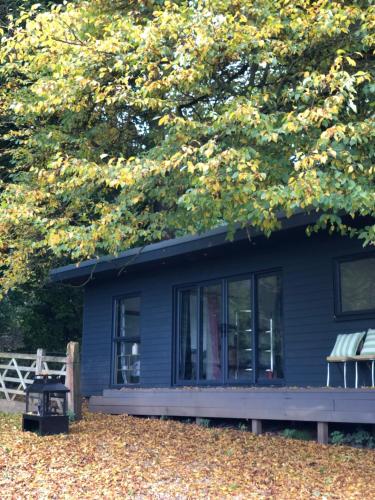 a blue house with a bench and a tree at Hertford farm Woodland cabin pet friendly firepit bbq in Hertford