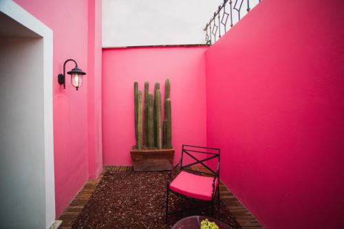 Φωτογραφία από το άλμπουμ του Casa Rosamate σε Oaxaca City