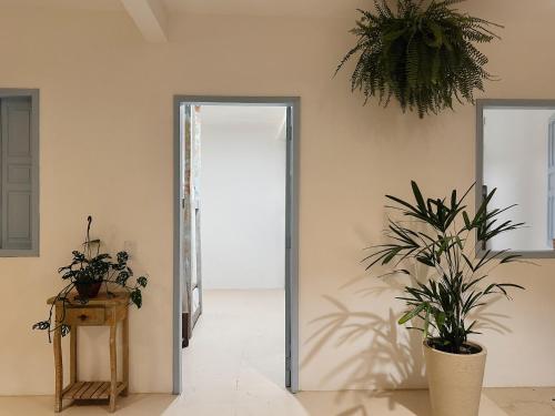 a hallway with two potted plants and an open door at Pousada Vilab in Arraial d'Ajuda