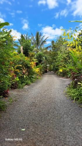a gravel road with plants on both sides at La Case Floria in Saint-André