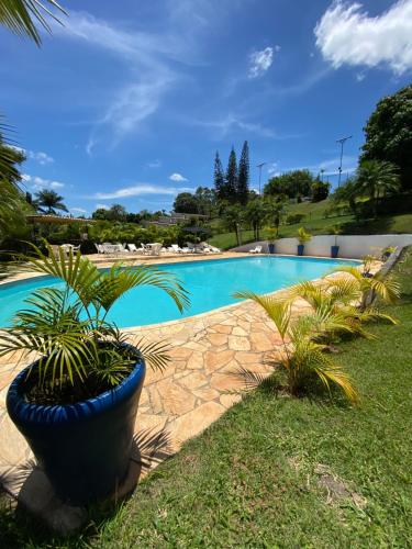 a blue pool with plants in a yard at Spa orgânico chalé dos Ipês in Jundiaí
