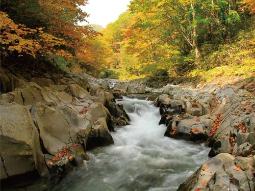 Φυσικό τοπίο κοντά σε αυτό το ryokan