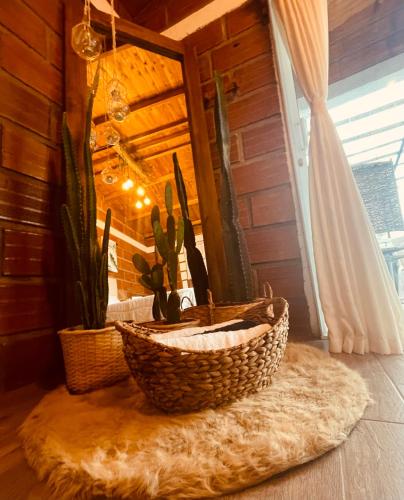 a room with two plants in baskets on a rug at El Abuelo y La Montaña jacuzzi in San Carlos