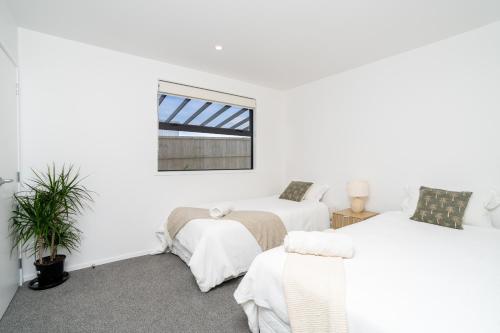 a white room with two beds and a window at Karioi Mountain View in Raglan