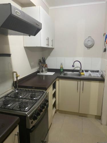 Η κουζίνα ή μικρή κουζίνα στο paseo San Carlos