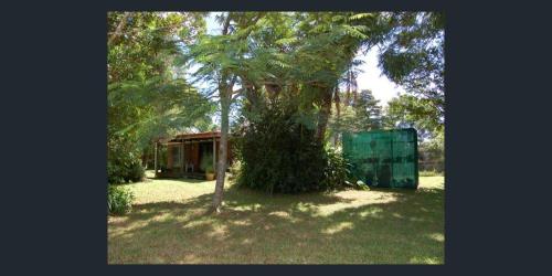 a large tree in front of a house at A heavenly haven in Maleny in Maleny