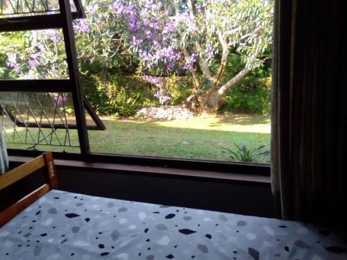 Κήπος έξω από το Manaba Holiday Home