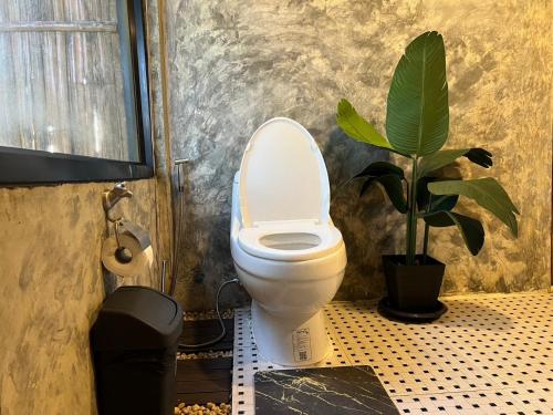 a bathroom with a toilet and a potted plant at Bella Lunar Villa ดอยแม่สลอง in Mae Salong