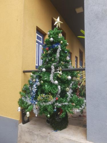 a christmas tree in front of a building at Blue Pillars Kandy in Kandy