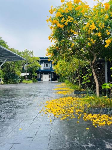 Photo de la galerie de l'établissement 110 แหลมสิงห์ โฮมสเตย์, à Ban Pak Nam