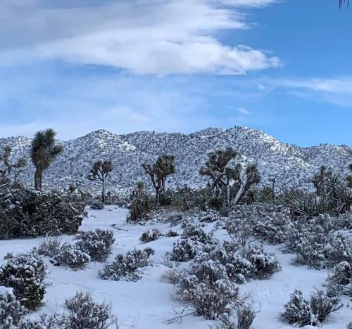 a snowy field with trees and mountains in the background at The Joshua Tree House in Joshua Tree