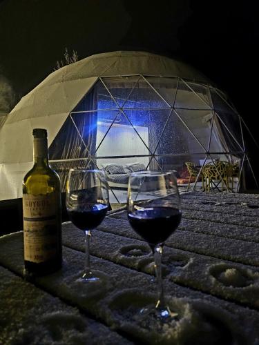 Gallery image of Dream Domes Glamping House in Gabala