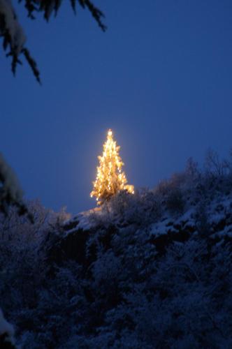 a christmas tree on top of a snow covered hill at Apparthotel Gartenresidence Nalserhof in Nalles