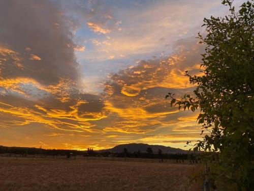 a sunset in a field with a cloudy sky at Waipara Valley Escape in Glasnevin
