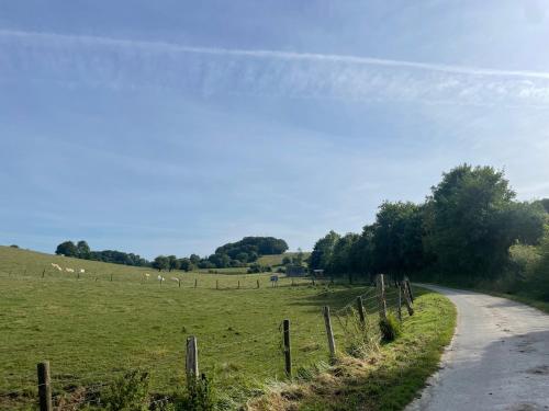 a road in a field with sheep in the distance at Gîte & Spa in Barly