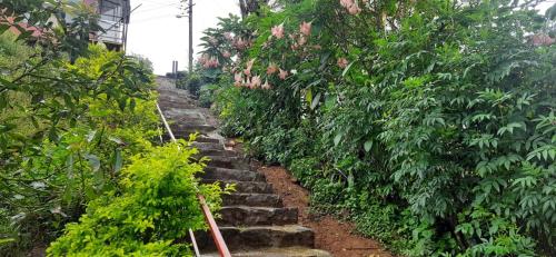 a set of stairs in a garden with plants at Spinson Home Stay in Madikeri