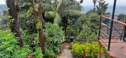 a stairway leading into a forest with palm trees at Spinson Home Stay in Madikeri