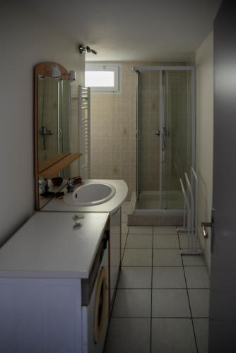 une salle de bain avec un lavabo et une douche dans l'établissement Entre Lac et Montagne, à Veyrier-du-Lac