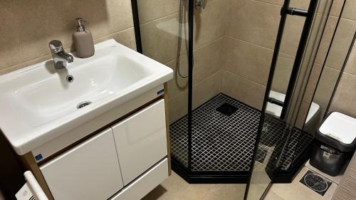 a bathroom with a sink and a shower at Bela Reka C308 in Brzeće
