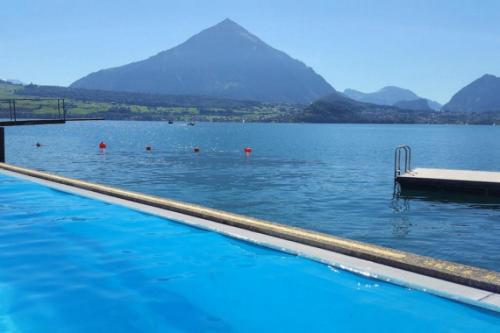 a pool of water with a mountain in the background at SwissHut Stunning Views Alps & Lake - Chalet Schärme in Sigriswil