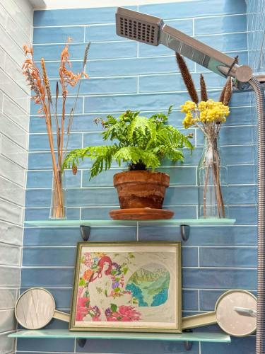 un mur bleu avec une étagère avec une photo et des plantes dans l'établissement Maison Cozy, Confort & Calme au coeur de Marseille, à Marseille