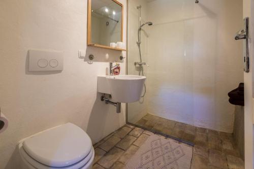 ein Badezimmer mit Toilette, Waschbecken und Dusche in der Unterkunft Einzigartiges mediterranes Steinhaus mit Meerblick, Chillout-Bereich, Bike, BBQ, WiFi in Grižane
