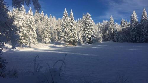Gîte des lacs et cascades durante el invierno