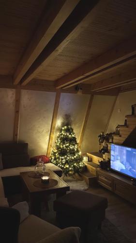 a living room with a christmas tree and a television at WoodSide Žabljak in Žabljak