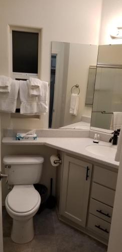 a bathroom with a toilet and a sink and a mirror at 038 Dine & Unwind Tiny Home near Grand Canyon South Rim in Valle