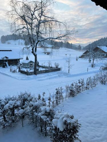 a snow covered field with a tree and some bushes at Ferienwohnungen Rössle in Stiefenhofen