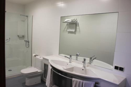 a bathroom with a sink and a toilet and a mirror at Apartamentos Irati in Espinal-Auzperri