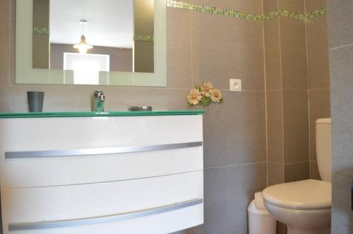 a bathroom with a sink and a toilet at Mais 4 pièces 5 couchages BANYULS SUR MER BN000-05B in Banyuls-sur-Mer