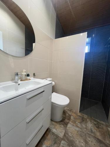 a bathroom with a toilet and a sink and a shower at Monte de São Francisco Country House in Vale de Maceira