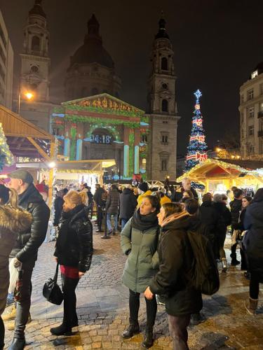 Cathedral central rezidence